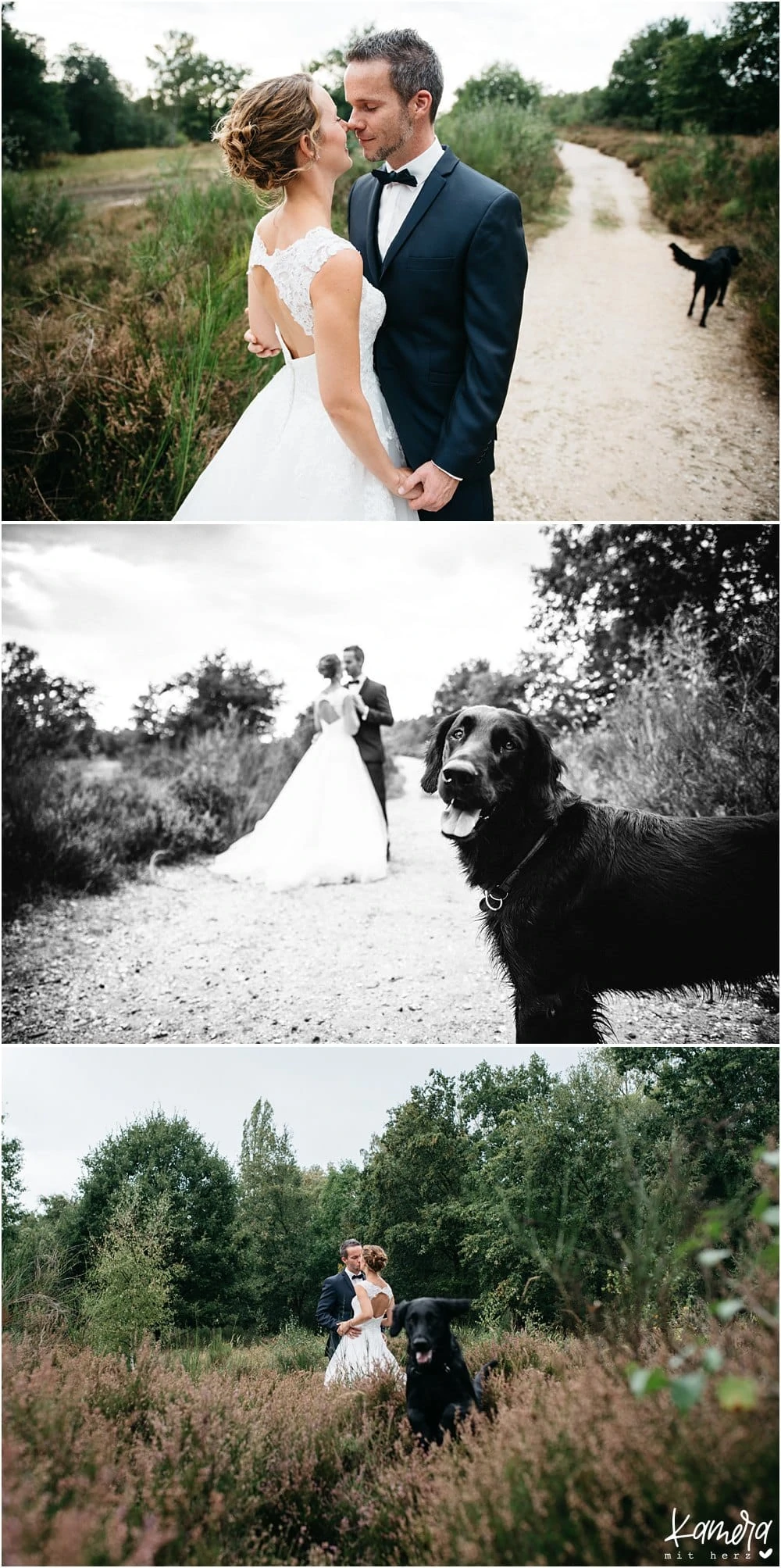After Wedding Shooting in der Wahner Heide mit Hund