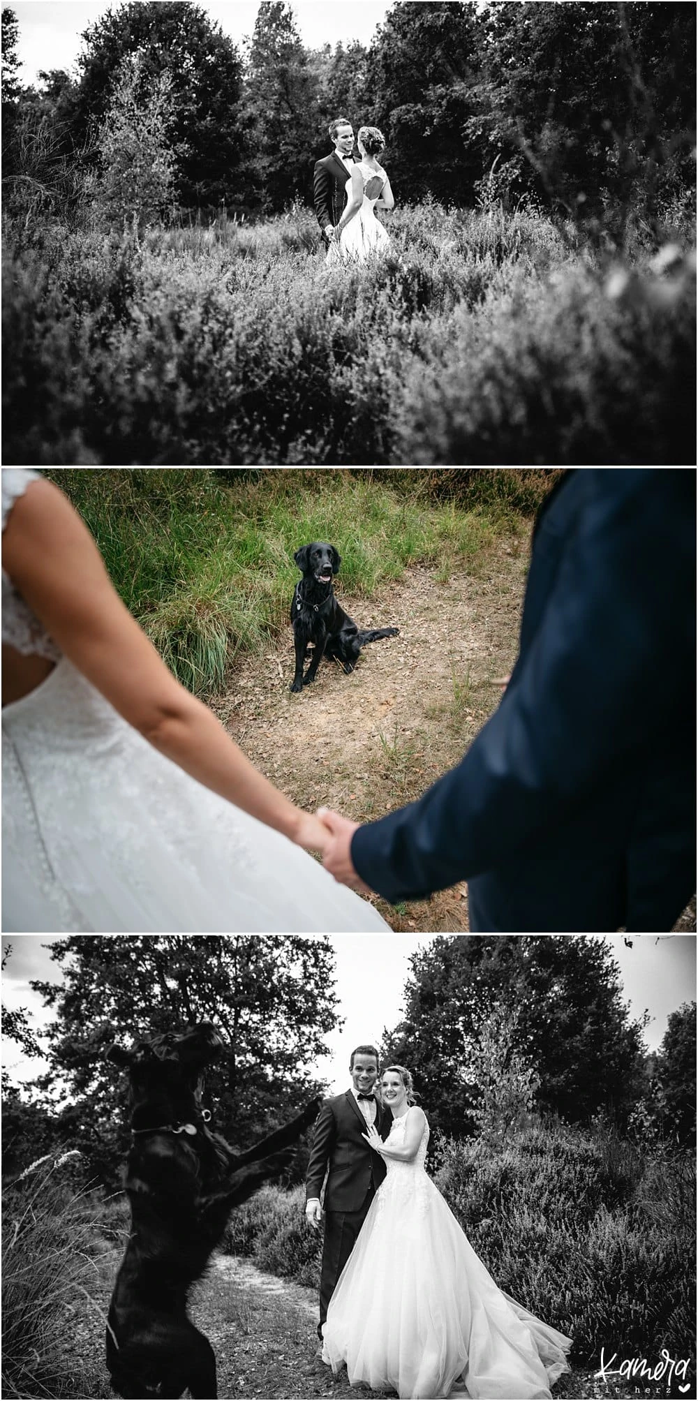 After Wedding Shooting in der Wahner Heide mit Hund