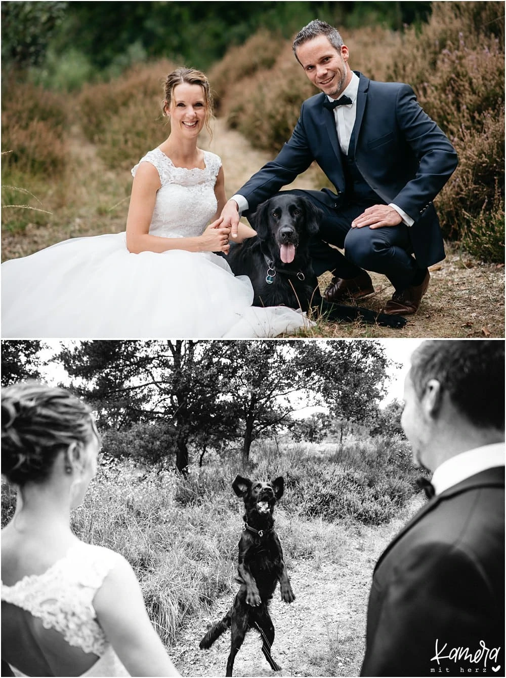 Hochzeitsfotos mit Hund Wahner Heide