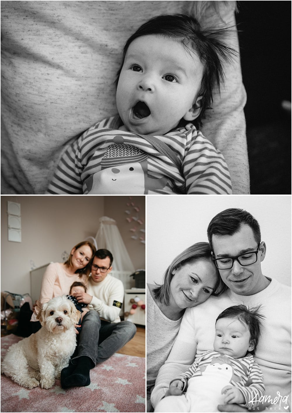 modernes Babyshooting zuhause mit Hund in Köln