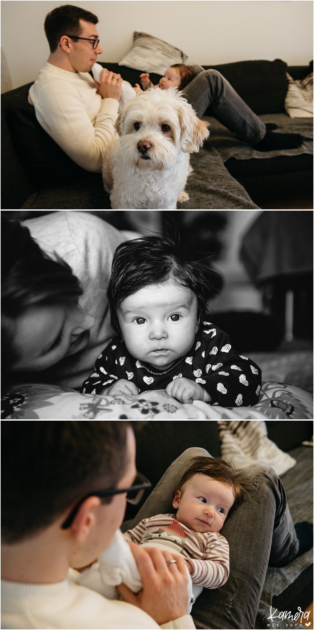 modernes Babyshooting zuhause mit Hund in Köln