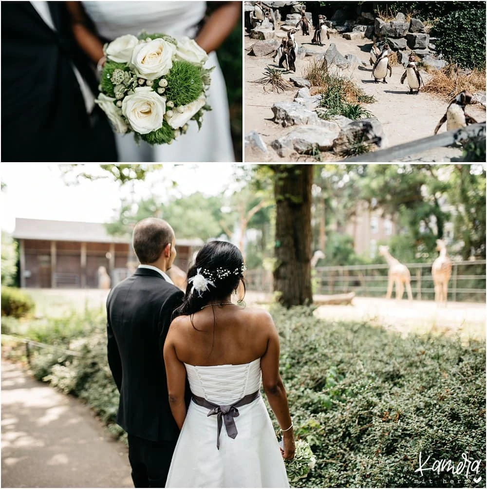 Heiraten im Kölner Zoo