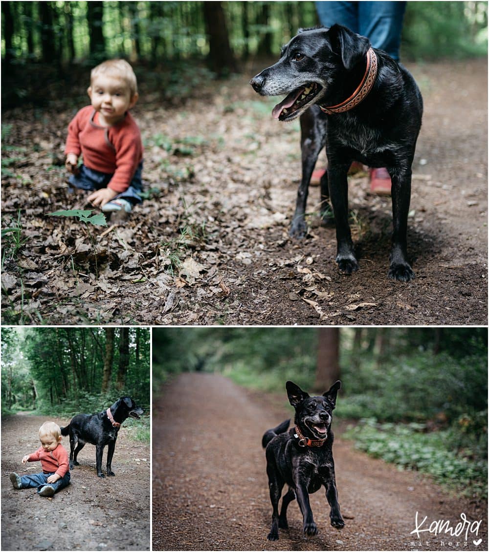 Fotoshooting mit Hund