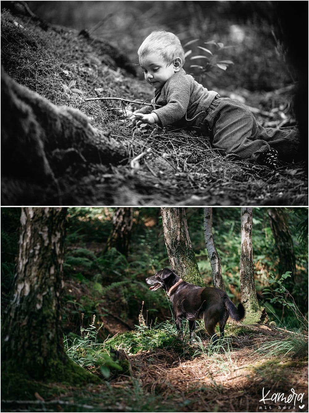 Fotoshooting Familie mit Hund